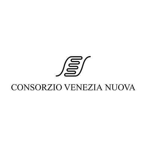 Consorzio Venezia Nuova